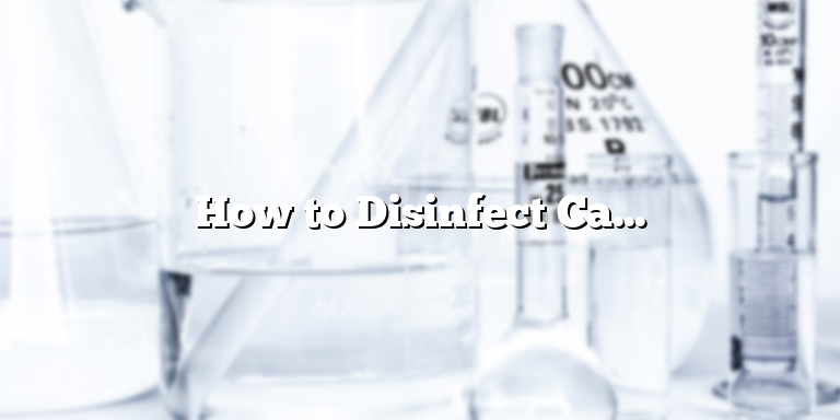 How to Disinfect Carpet: A Step-by-Step Guide