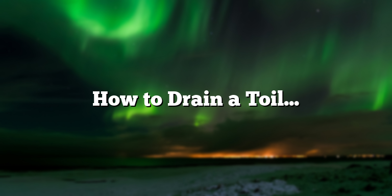 How to Drain a Toilet Bowl: Step-by-Step Guide