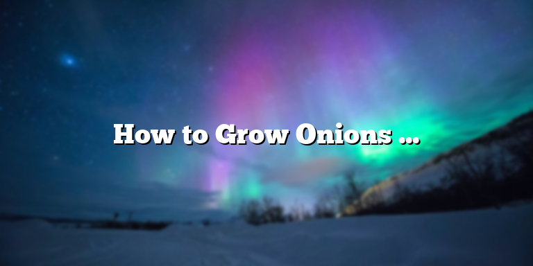 How to Grow Onions in Pots: A Step-by-Step Guide