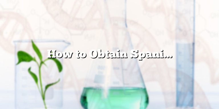 How to Obtain Spanish Citizenship: A Step-by-Step Guide